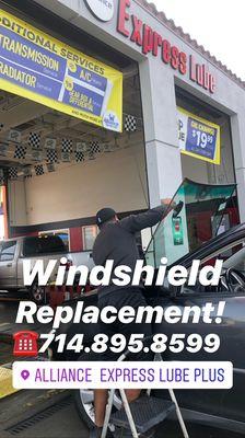 wildshield replacement