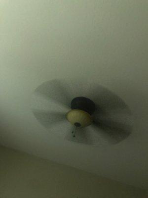 Fan For fan of food