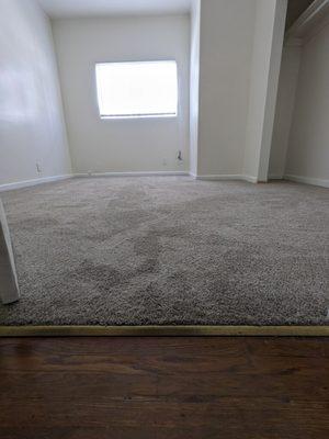 Carpet Install