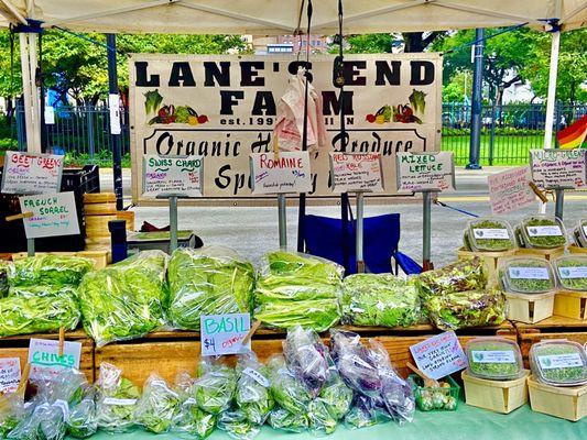 Lane's End Farm Stand-08/23