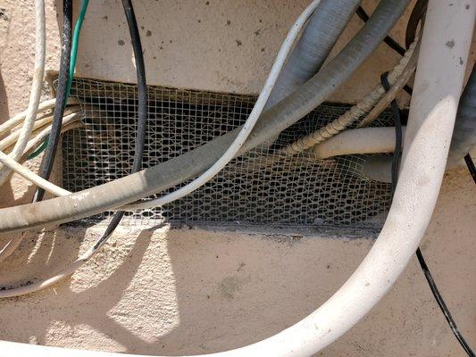 Number 1 way rodent gain access to the substructure kr your property. Some of the ways we solve this issue.