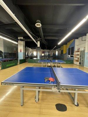 PingPong - so fun!