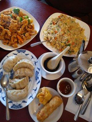 Chicken fried rice pot stickers wonton and egg roll