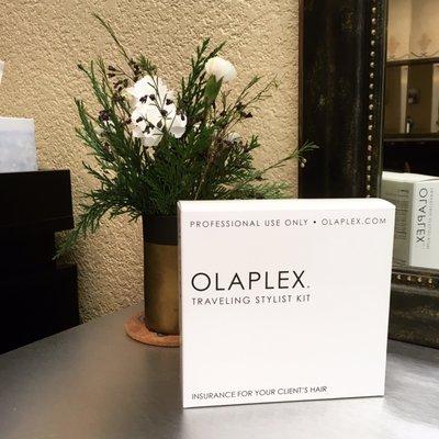 Now offering Olaplex! Olaplex can be added on to any color service to protect and rebuild broken hair bonds