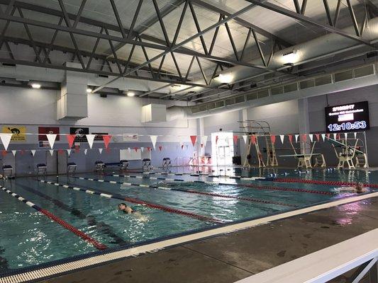 Lap pools with diving boards.