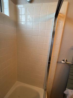 Tub shower regrout after