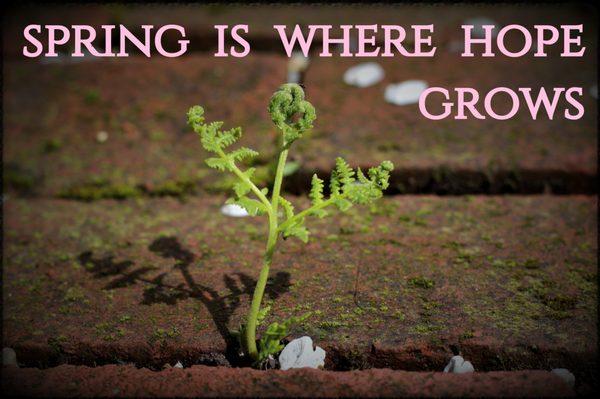 Spring is where hope grows.