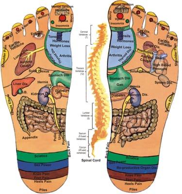 Foot Reflexology