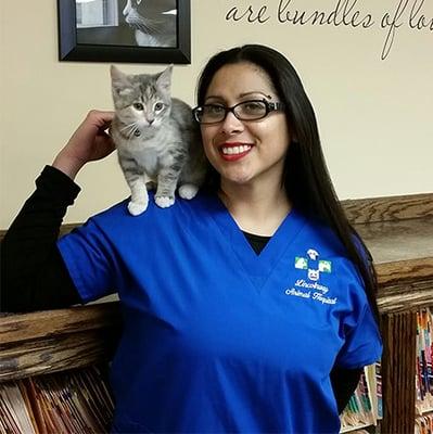 Lincolnway Animal Hospital