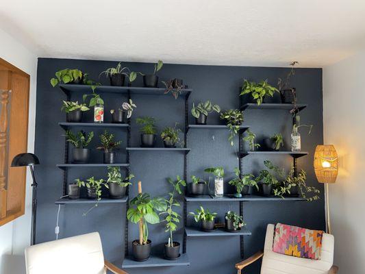 Plant shelves