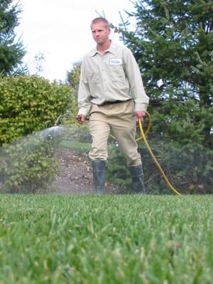 Controlling weeds is best accomplished using liquid sprays, which is why you'll only find us using liquid materials on weeds.