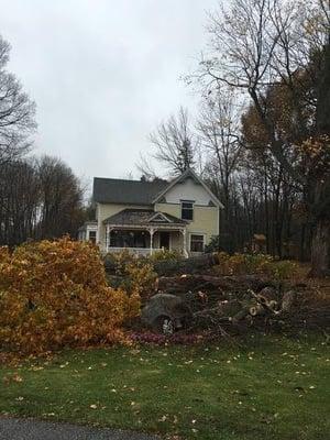 Red oak and hard maple completely down.