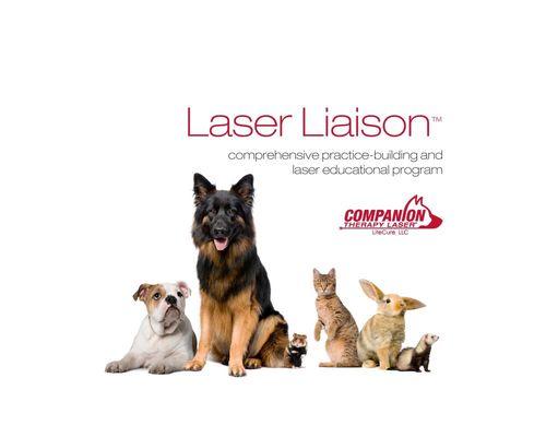 We offer Laser Therapy