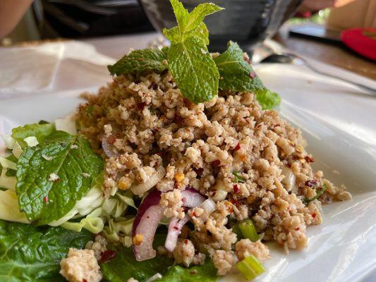 Larb Gai Salad