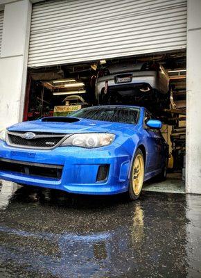 Subie WRX. Picking up some RPF1s in gold