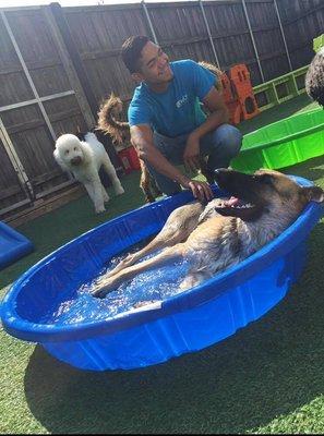 Our guests love lounging in the kiddie pools!