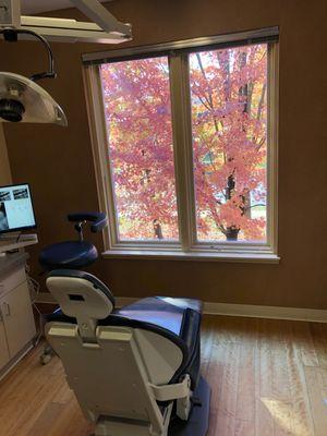 A nice Fall view from the operatory!