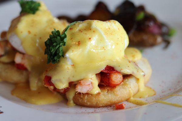 Lobster Benedict