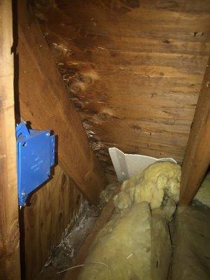 DEFECTIVE ROOF SHEATHING REQUIRES REPLACEMENT. INSULATION CONTAMINATED BY MOLD