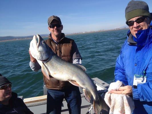 28lb. Lake Trout