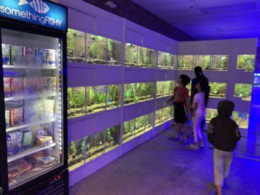 Freshwater tanks