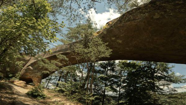 The Sky Bridge in the Red River Gorge!