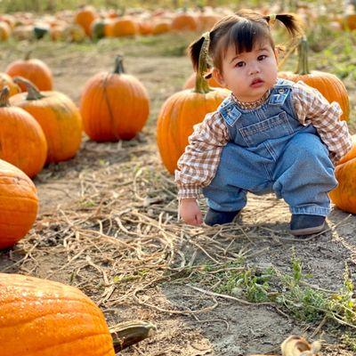 Swans Trail Farms Pumpkin Patch. Photo by Sarinya Duke