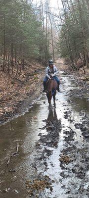 My horse stopping to drink some water. Another amazing experience