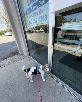 Ellie at the front door