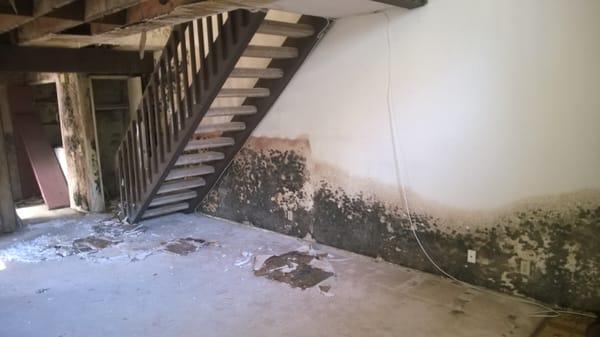 Here's a nasty problem in a condo that was in probate and had a flood.