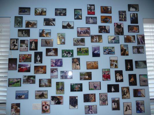 Patient's wall of fame!!