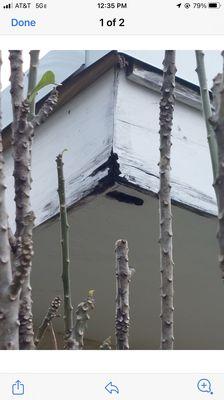 The rot fascia and soffit boards!