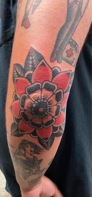 Elbow flower by Asa