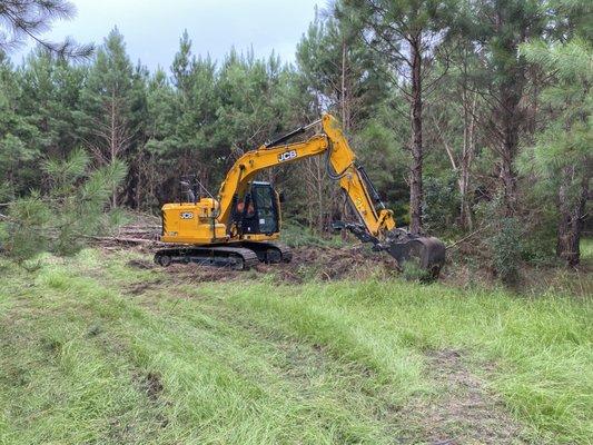 Land Clearing