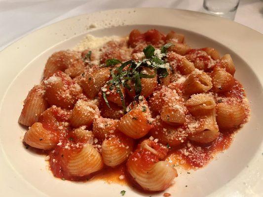 Fresh pasta with tomato sauce