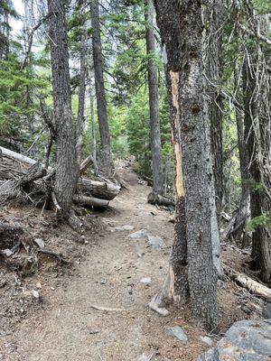 Tumalo Falls trail beyond