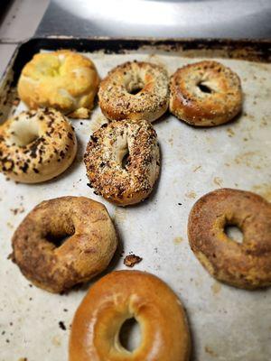 Yummy bagels