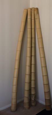 Bought 8-foot yellow bamboo poles in 6-inch diameter.