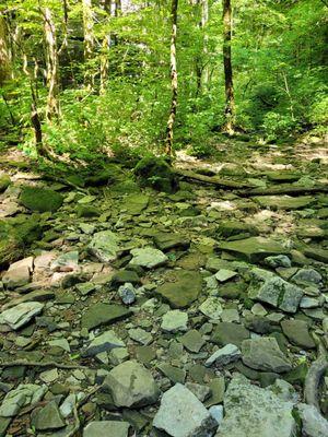 You must be able to walk over all this.  Mom and Auntie had to sit in chairs at the top and wait for us.  Bring chairs.