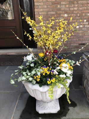 Outdoor Early Spring Garden Container