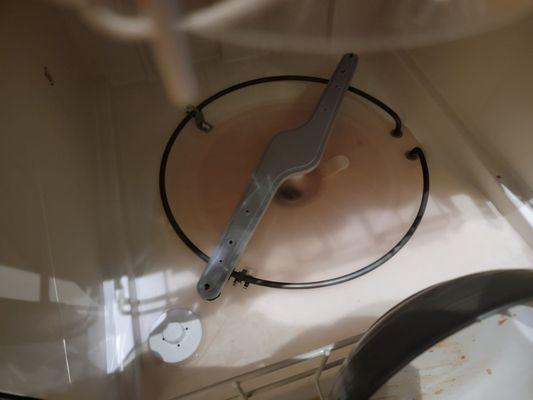 Stagnant water inside dishwasher