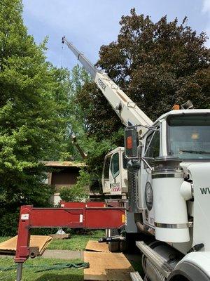 Large tree removal with our crane