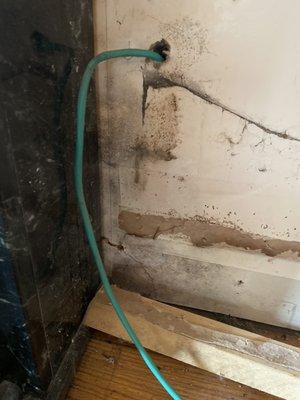 Mold from water damage from roof