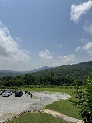 Parking lot and vines