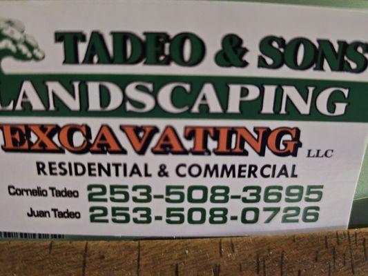 Tadeo & Sons Landscaping