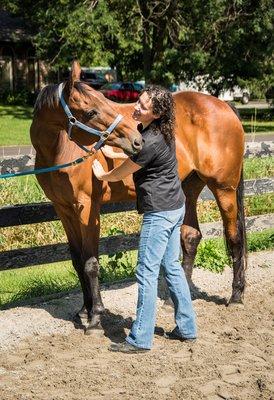 I also offer CranioSacral therapy for horses!