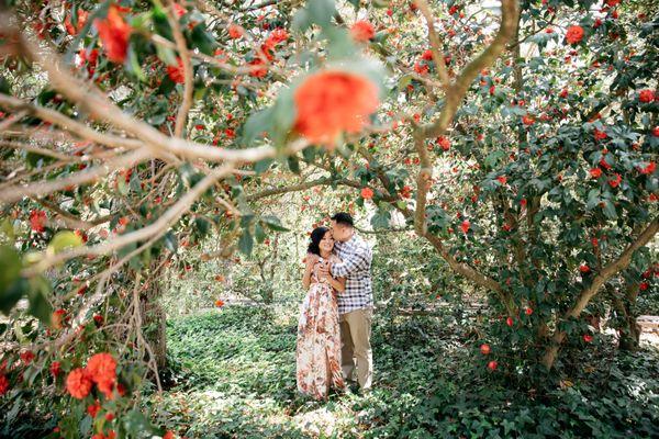 Descanso Garden Wedding Photographer La Canada Flintridge Photography