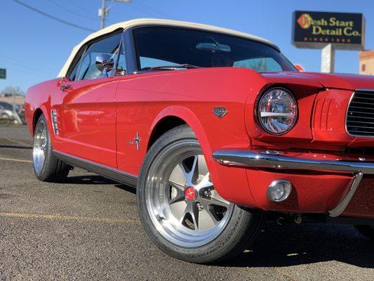 New Revology Mustang!  Ceramic coated the new paint for easy washes and a lifetime of protection.