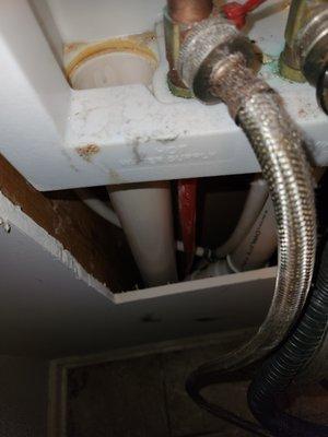 The White Plex line from the Thermal Expansion Valve T-spliced into the cold water line.