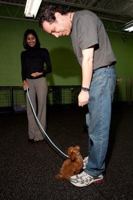 Pawsitive Paul's Dog Training